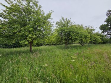 Maison a vendre Villaines-la-Juhel 53700 Mayenne 52 m2 2 pièces 37100 euros