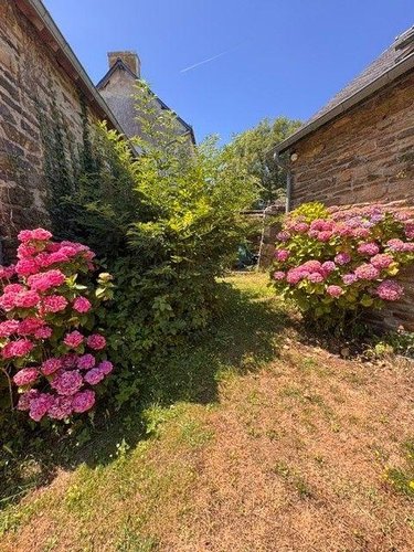 Maison a vendre Clohars-Carnoët 29360 Finistère 134 m2 5 pièces 572000 euros