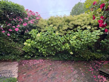 Maison a vendre Eu 76260 Seine-Maritime 130 m2 5 pièces 249000 euros