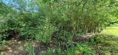 Maison a vendre Frangy-en-Bresse 71330 Saône-et-Loire 102 m2 4 pièces 79000 euros