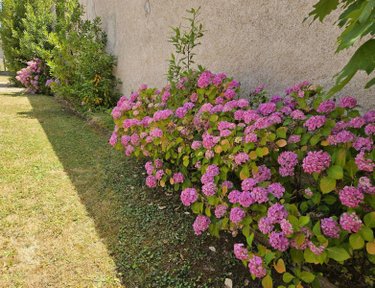 Maison a vendre Châtillon-sur-Cher 41130 Loir-et-Cher 54 m2 2 pièces 93806 euros