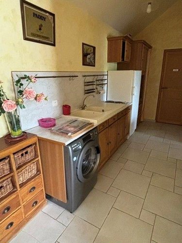 Maison a vendre Mont-près-Chambord 41250 Loir-et-Cher 248 m2 8 pièces 396880 euros