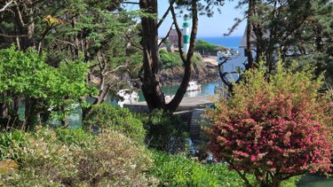 Maison a vendre Clohars-Carnoët 29360 Finistère 134 m2  935100 euros