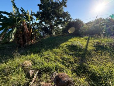 Terrain a batir a vendre La Possession 97419 Réunion 320 m2  213000 euros