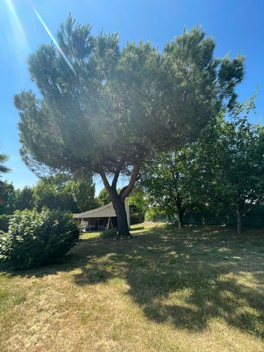 Maison a vendre Champcevinel 24750 Dordogne 127 m2 6 pièces 275600 euros