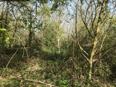 Terrains de loisirs bois etangs a vendre Lombron 72450 Sarthe 20951 m2  13200 euros