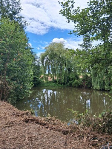 Terrains de loisirs bois etangs a vendre Saint-Jean-de-la-Motte 72510 Sarthe 5805 m2  15600 euros