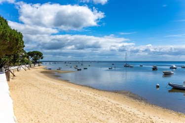Maison a vendre Lège-Cap-Ferret 33950 Gironde 210 m2 6 pièces 3300000 euros