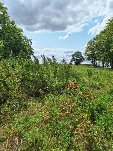 Maison a vendre Échemines 10350 Aube 220 m2  48240 euros