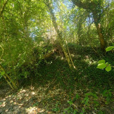 Terrains de loisirs bois etangs a vendre Chappes 10260 Aube 2500 m2  23500 euros