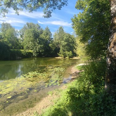 Terrains de loisirs bois etangs a vendre Chappes 10260 Aube 2500 m2  23500 euros