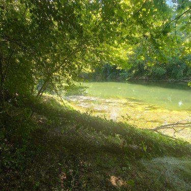 Terrains de loisirs bois etangs a vendre Chappes 10260 Aube 2500 m2  23500 euros