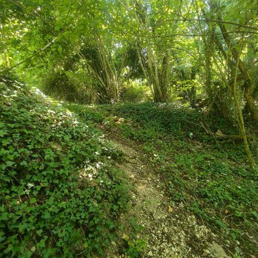 Terrains de loisirs bois etangs a vendre Chappes 10260 Aube 2500 m2  23500 euros