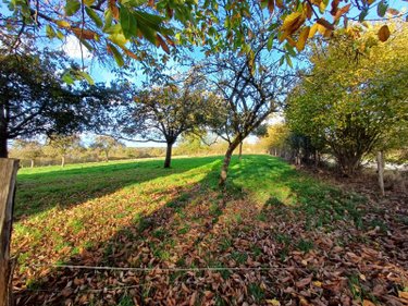 Terrain a batir a vendre Tessy-Bocage 50420 Manche 2079 m2  26250 euros