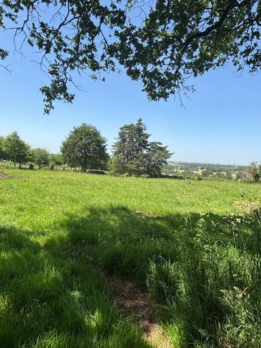 Maison a vendre Combourtillé 35210 Ille-et-Vilaine 50 m2 2 pièces 93564 euros