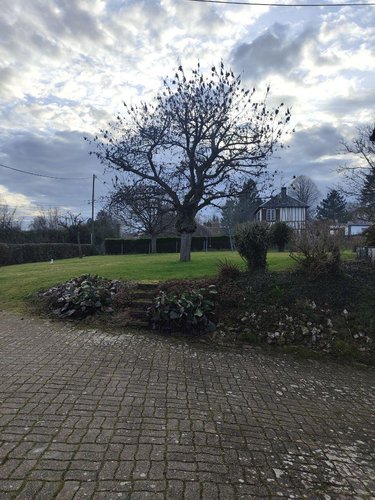 Maison a vendre Elbeuf 76500 Seine-Maritime 173 m2 6 pièces 345000 euros