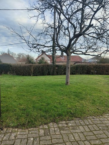 Maison a vendre Elbeuf 76500 Seine-Maritime 173 m2 6 pièces 345000 euros