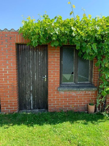 Location maison Saint-Jans-Cappel 59270 Nord 73 m2 3 pièces 800 euros