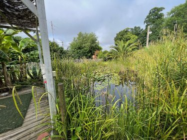 Maison a vendre Lanvollon 22290 Côtes-d'Armor 146 m2 3 pièces 246000 euros