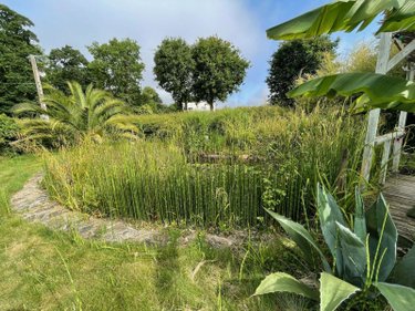 Maison a vendre Lanvollon 22290 Côtes-d'Armor 146 m2 3 pièces 246000 euros