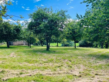 Maison a vendre Le Petit-Celland 50370 Manche 48 m2 3 pièces 106000 euros