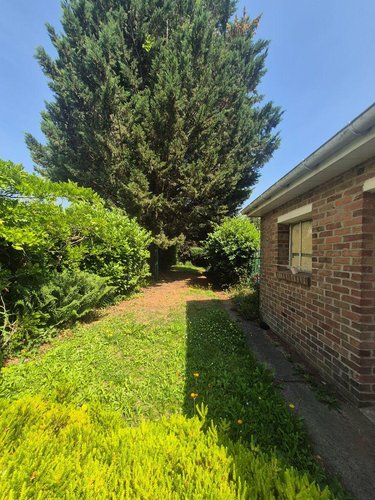 Maison a vendre Hazebrouck 59190 Nord 115 m2 6 pièces 195000 euros