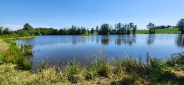 Terrains de loisirs bois etangs a vendre Branges 71500 Saône-et-Loire 36160 m2  110000 euros