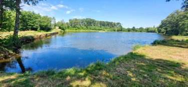 Terrains de loisirs bois etangs a vendre Branges 71500 Saône-et-Loire 36160 m2  110000 euros