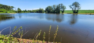 Terrains de loisirs bois etangs a vendre Branges 71500 Saône-et-Loire 36160 m2  110000 euros