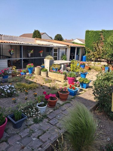 Maison a vendre Loon-Plage 59279 Nord 95 m2  218400 euros
