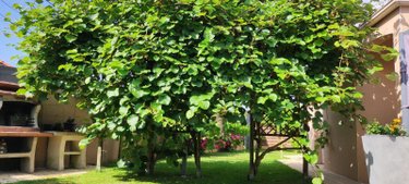 Maison a vendre Saint-Mars-la-Réorthe 85590 Vendée 168 m2 7 pièces 414000 euros