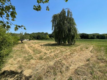 Terrain a batir a vendre Alincourt 08310 Ardennes 1082 m2  39900 euros