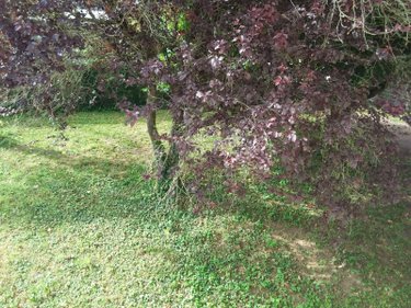Maison a vendre Chitenay 41120 Loir-et-Cher 102 m2 5 pièces 157650 euros
