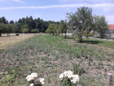 Terrain a batir a vendre Écommoy 72220 Sarthe 816 m2  53000 euros