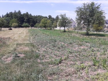 Terrain a batir a vendre Écommoy 72220 Sarthe 816 m2  53000 euros