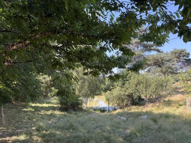 Terrains de loisirs bois etangs a vendre Vitrac 15220 Cantal 9282 m2  148400 euros