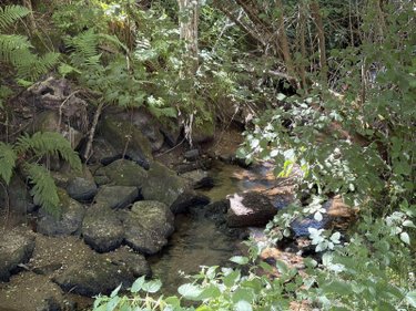 Terrains de loisirs bois etangs a vendre Vitrac 15220 Cantal 9282 m2  148400 euros