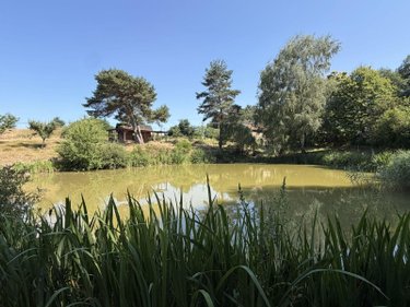 Terrains de loisirs bois etangs a vendre Vitrac 15220 Cantal 9282 m2  148400 euros