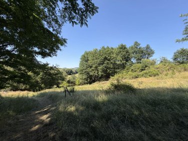 Terrains de loisirs bois etangs a vendre Vitrac 15220 Cantal 9282 m2  148400 euros