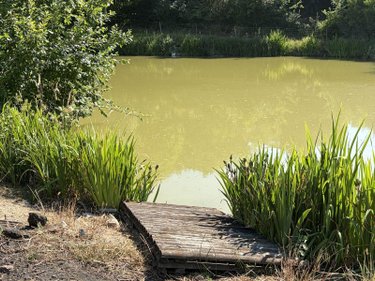 Terrains de loisirs bois etangs a vendre Vitrac 15220 Cantal 9282 m2  148400 euros