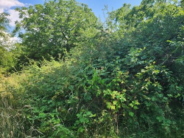 Terrains de loisirs bois etangs a vendre Géraudot 10220 Aube 3310 m2  33100 euros