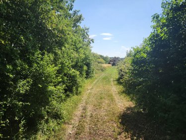 Terrains de loisirs bois etangs a vendre Géraudot 10220 Aube 3310 m2  33100 euros