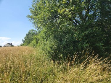 Terrains de loisirs bois etangs a vendre Géraudot 10220 Aube 3310 m2  33100 euros