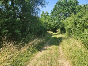 Terrains de loisirs bois etangs a vendre Géraudot 10220 Aube 3310 m2  33100 euros