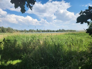 Terrains de loisirs bois etangs a vendre Géraudot 10220 Aube 3310 m2  33100 euros