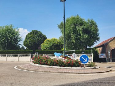 Terrains de loisirs bois etangs a vendre Géraudot 10220 Aube 3310 m2  33100 euros