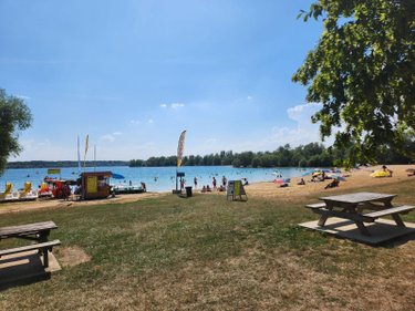 Terrains de loisirs bois etangs a vendre Géraudot 10220 Aube 3310 m2  33100 euros