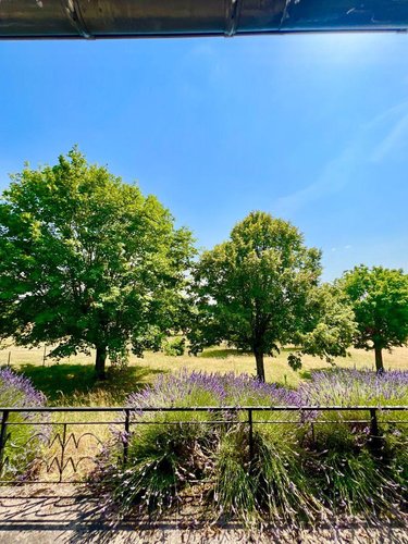 Maison a vendre Palluau-sur-Indre 36500 Indre 80 m2 4 pièces 80625 euros
