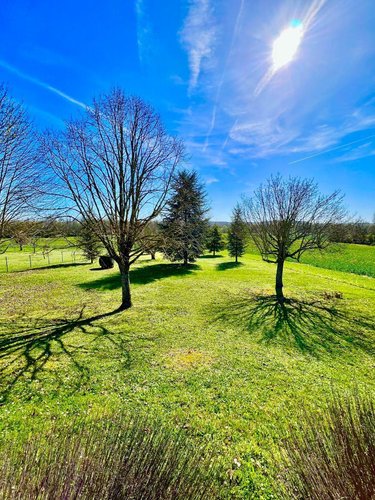 Maison a vendre Palluau-sur-Indre 36500 Indre 80 m2 4 pièces 80625 euros