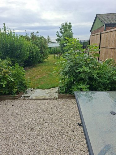 Location maison Hazebrouck 59190 Nord 94 m2  817 euros